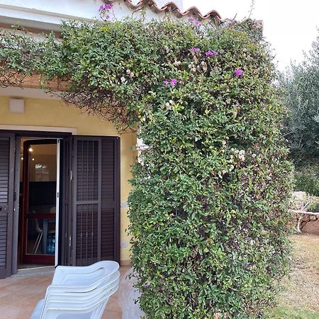 Tavolara Paradise Home Porto San Paolo  Extérieur photo