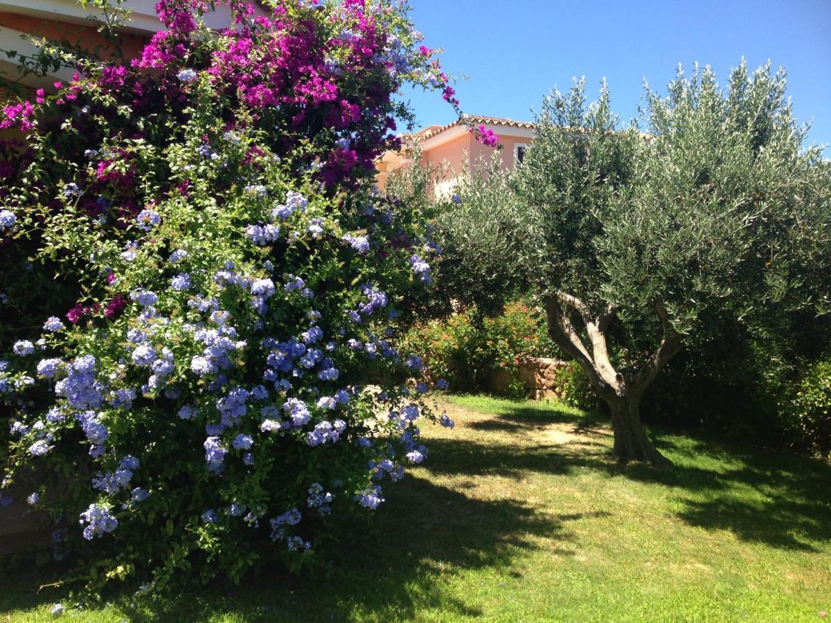 Tavolara Paradise Home Porto San Paolo  Extérieur photo