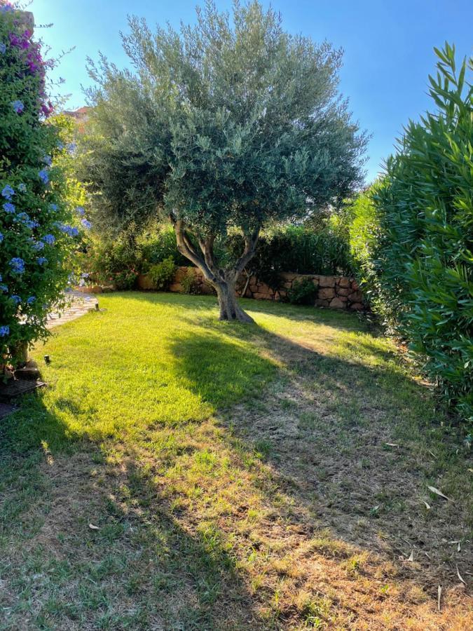 Tavolara Paradise Home Porto San Paolo  Extérieur photo