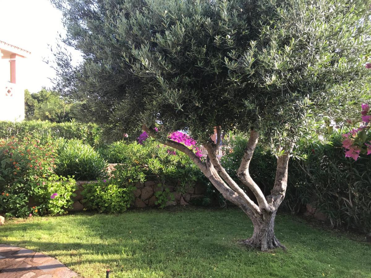 Tavolara Paradise Home Porto San Paolo  Extérieur photo